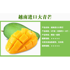 芒果介绍