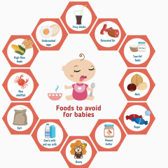 矢量人类食物链