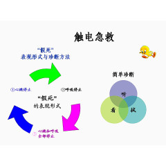 触电急救措施步奏图