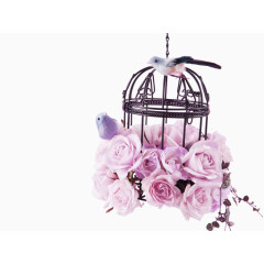 粉色鲜花玫瑰花鸟笼装饰图案