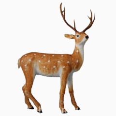 长角梅花鹿