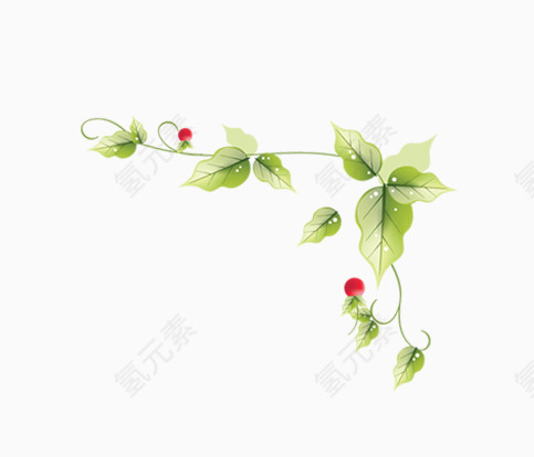 唯美精美树叶边框边角装饰