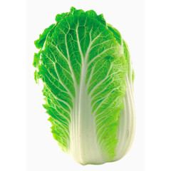 原生态白菜