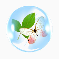 泡泡里的蝴蝶