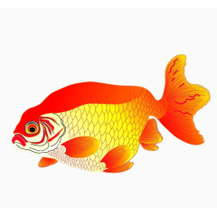 一直彩绘大金鱼免扣素材