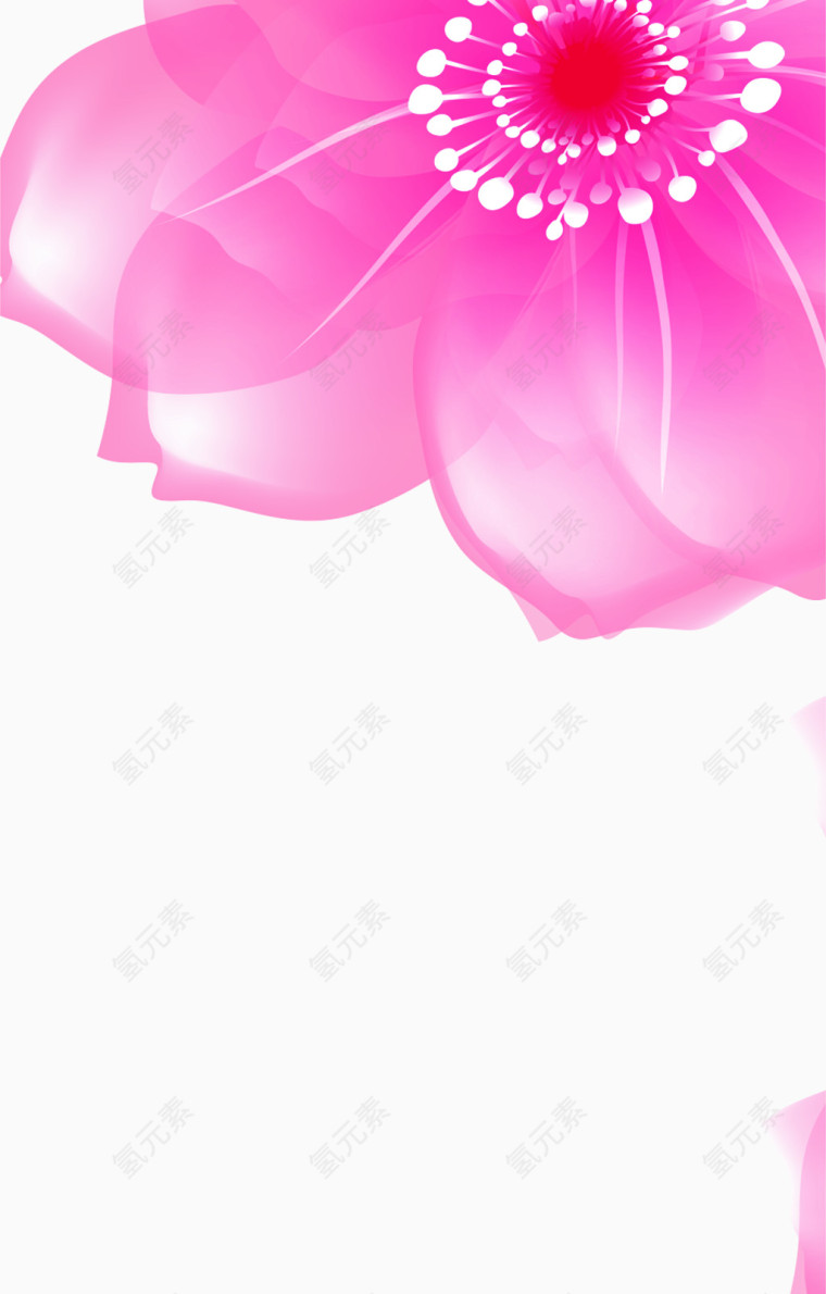 玫红色边角花朵元素