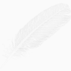 白色羽毛图案