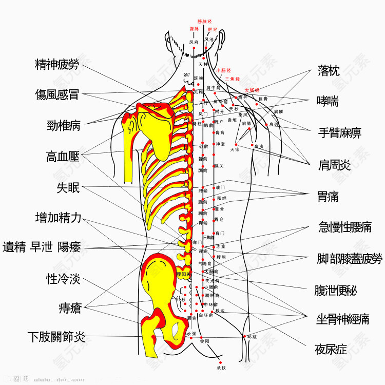 按摩背部主治疾病