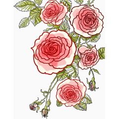 水彩风格牡丹花