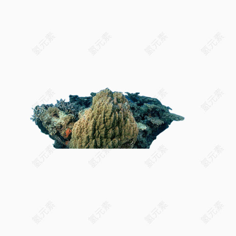 海底世界假山