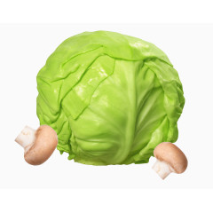绿色洋白菜素材