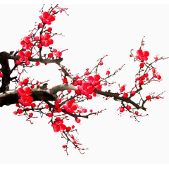 梅花