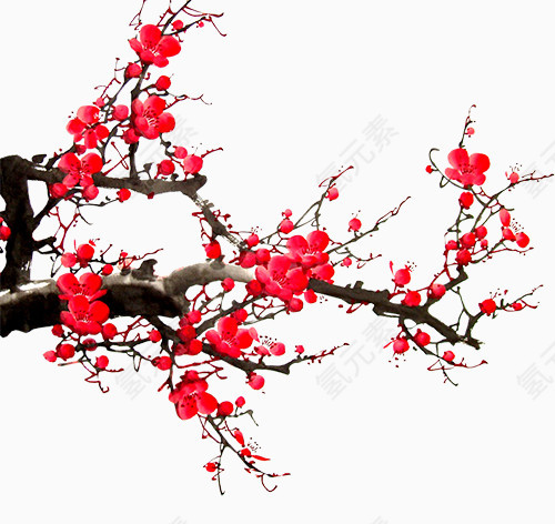 梅花