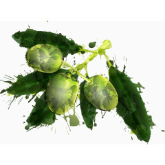 绿色橄榄和绿叶插画