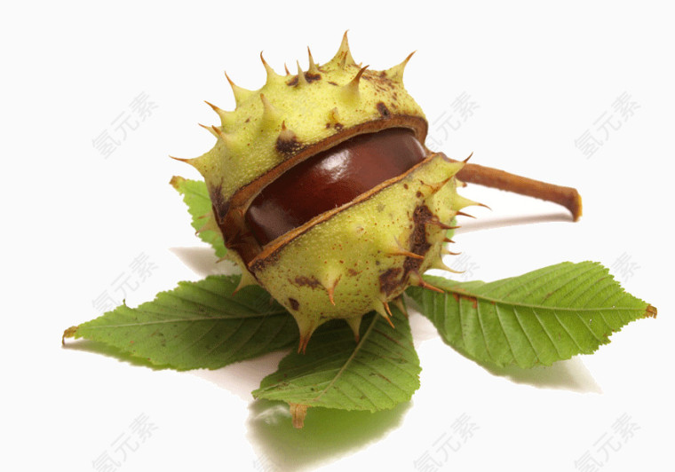 红毛丹食物