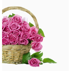 粉红玫瑰和花篮图案