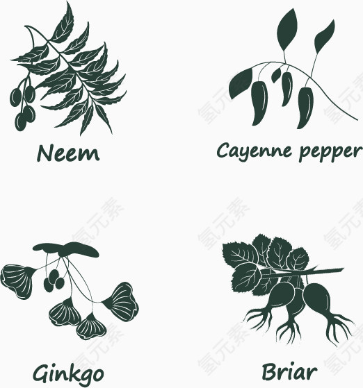 矢量时尚植物图标设计素材