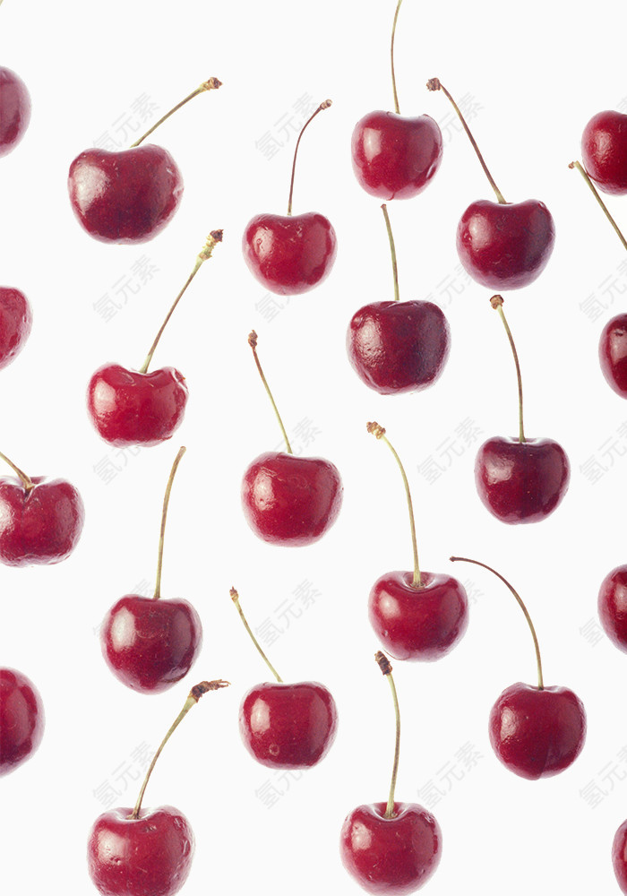 樱桃水果实物图