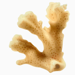 精美海洋生物矢量图