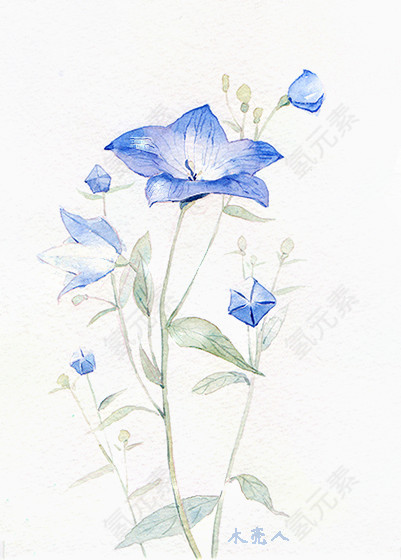 唯美中国古风水彩插画牡丹花与斗笠