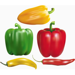 各式各样的辣椒