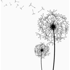 蒲公英装饰图案可做边框