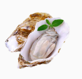 亚洲刺身龙蚝