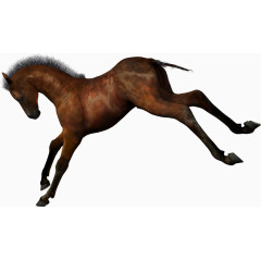 跳跃的骏马PNG素材