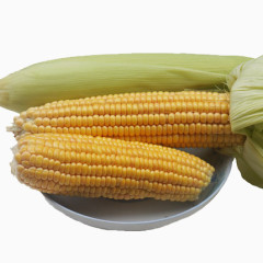 金色玉米棒
