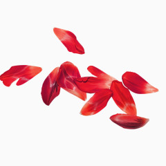 花瓣
