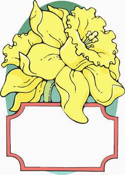 黄色花朵边框
