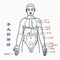 手太阴肺经