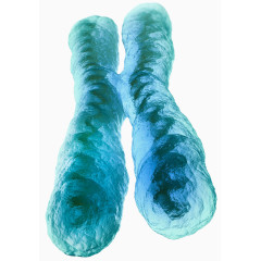 染色体生物科技