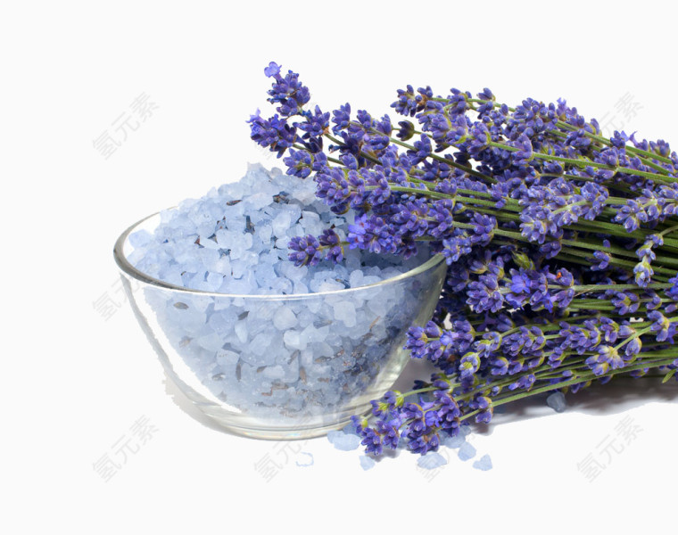 免扣素材之薰衣草沙