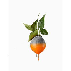 创意水果平面设计橘子