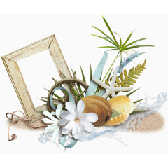 海星贝壳装饰图案