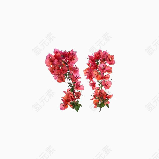 粉色花朵装饰