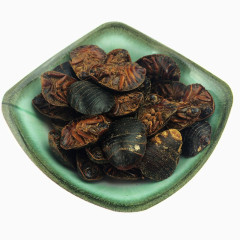 土鳖虫地鳖虫中药材