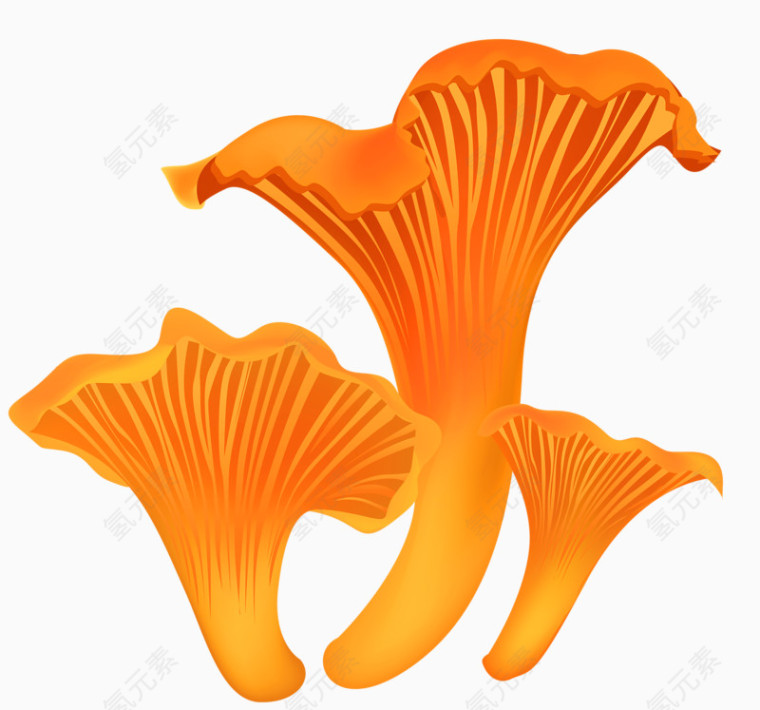 手绘蘑菇