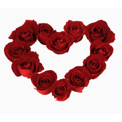 心形玫瑰花
