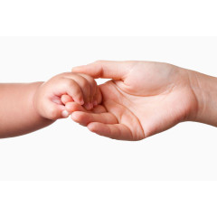 婴儿和成人手拉手