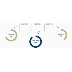 分类圆环占比图.