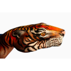 创意彩绘老虎