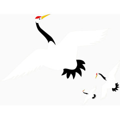 丹顶鹤中国仙鹤矢量图