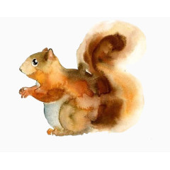 手绘松鼠图片素材