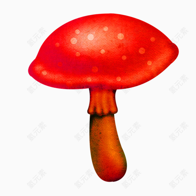 蘑菇