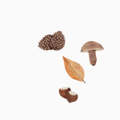 松果蘑菇落叶秋天的果实