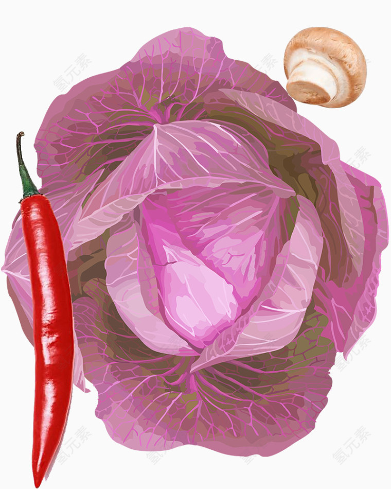 紫包菜辣椒蘑菇实物素材