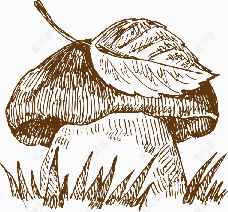 蘑菇手绘素描