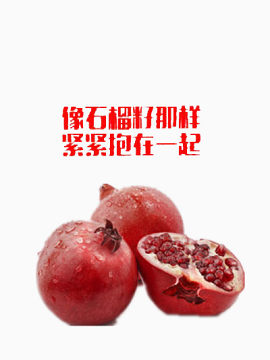 像石榴籽一样团结